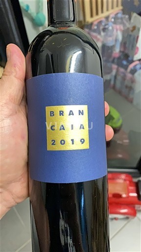 Toscana Không được chỉ định Brancaia 2019