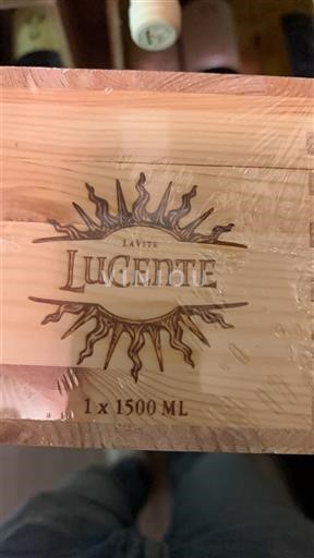 Toscana Non specificato Tenuta Luce Lucente 2023