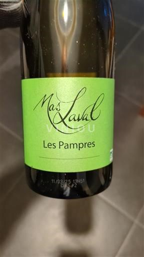 Languedoc in Roussillon Pays d'Oc Mas Laval Les Pampres 2024