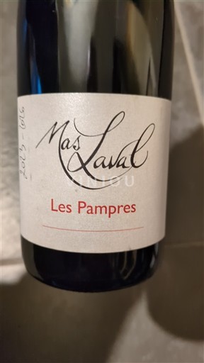 Languedoc in Roussillon Pays d'Oc Mas Laval Les Pampres 2020