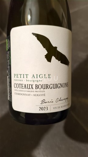 Bourgogne Coteaux bourguignons Domaine Boris Champy Petit Aigle 2023