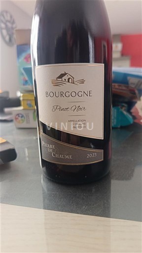 Burgund Pierre de Chaume Pinot Noir 2021