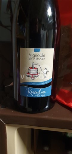 Loire Valley Saint-Nicolas-De-Bourgueil Vignoble de la Rodale Kernelise Non-Vintage