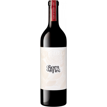 Kap Sydkyst Elgin Julien Schaal Syrah 2021