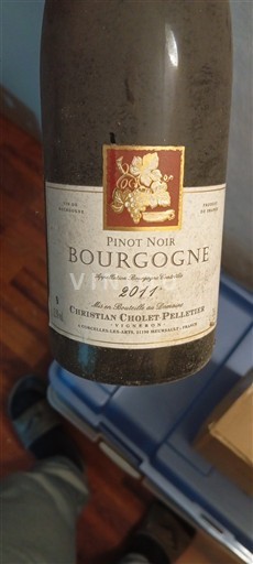 Burgund Christian Cholet Pelletier 2011
