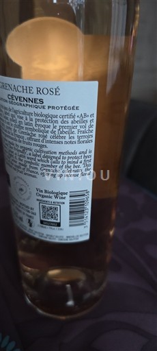 Linguadoca e Rossiglione Cévennes Grenache Rosé Senza annata