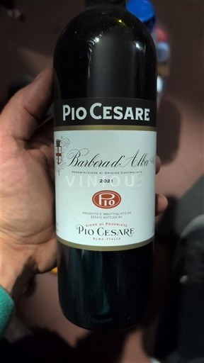 Piemonte Barbera d'Alba Pio Cesare 2021