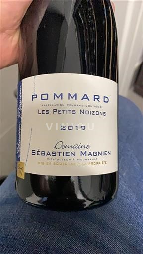 Bourgogne Pommard Domaine Sébastien Magnien Les Petits Noizons 2019
