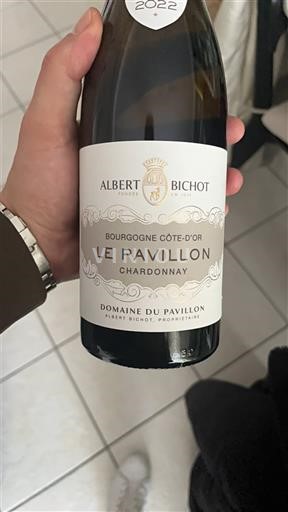 Bourgogne Bourgogne Côte d'Or Domaine Albert Bichot - Domaine du Pavillon Le Pavillon 2022