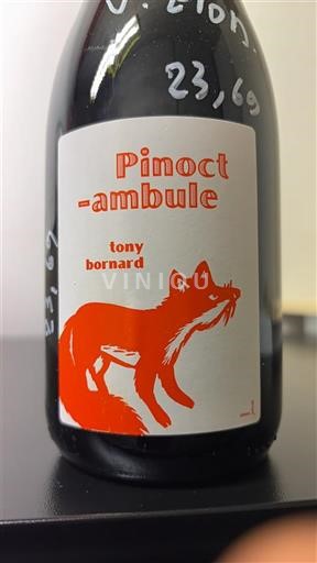 Jura Tony Bornard Pinoctambule 2022