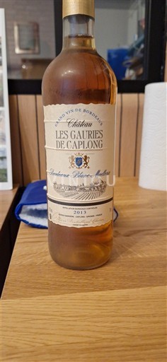 Bordéus Não especificado Château Les Gauries de Caplong 2013
