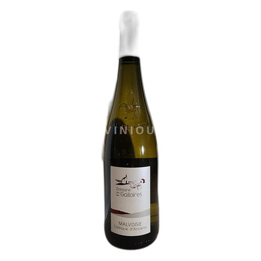 Údolí Loiry Coteaux-d'ancenis Domaine des Galloires Malvoisie 2022