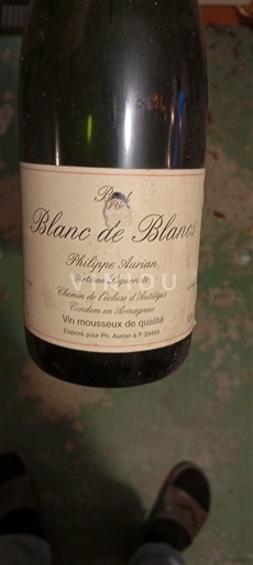 Sud-Ouest Philippe Aurian Brut Blanc de Blancs Non Millésimé