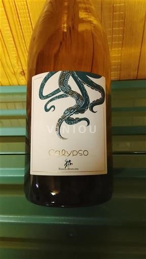 Provenza, bassa valle del Rodano, Corsica Mediterraneo Terres Promises Calypso 2021