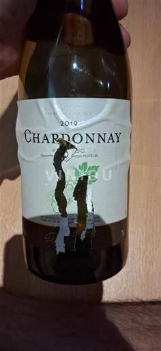 Bourgogne Bourgogne Chardonnay Pierre Chanau 2019