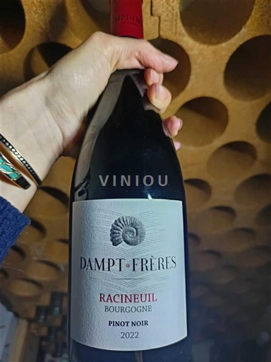 Burgundi Dampt Frères Racineuil 2022
