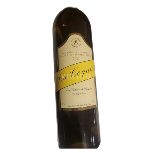 Valais Cave Emery La Coquine 2024