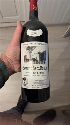 Bordéus Côtes-de-bourg Château Gros Moulin 2009