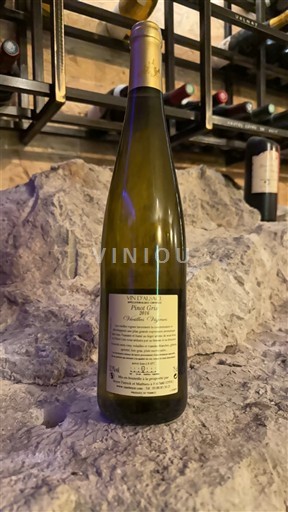 Alzacija Alsace Grand Cru Beyer Patrick & Mathieu Vielles vignes 2016