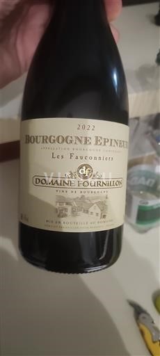 Bourgogne Bourgogne Epineuil Domaine Fournillon Les Fauconniets 2022