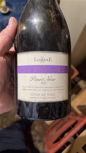 Lotharingen Côtes de Toul Lelièvre Les Eveques 2012