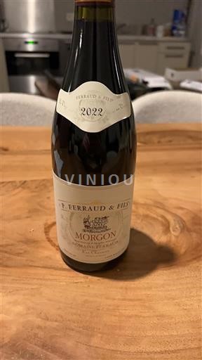 Beaujolais Morgon R. Perraud & Fils 2022