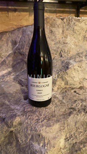 Burgund Domaine Amaury Gamay 2020