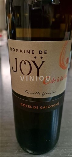 Sud-Ouest Côtes de Gascogne Domaine Joy O de à la vie Non Millésimé