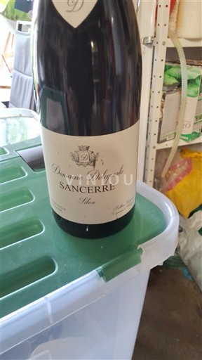 Valle della Loira Sancerre Delaporte Silex 2021