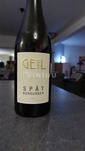 Wines Rouge sec Geil 2021 Germany Rheinhessen
