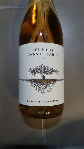 Sudoeste No especificado La Pointe Capbreton Les Pieds dans le Sable 2023