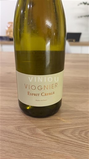 Linguadoca e Rossiglione Paese d'Oc Esprit Cépage Senza annata