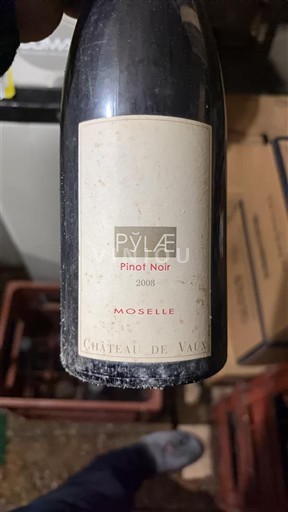 Lorraine Moselle Château Vaux PYLÆ 2008