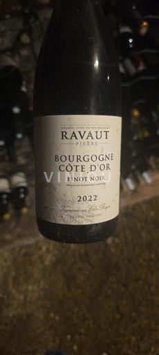 Bourgogne Bourgogne Côte d'Or Domaine Ravaut 2022