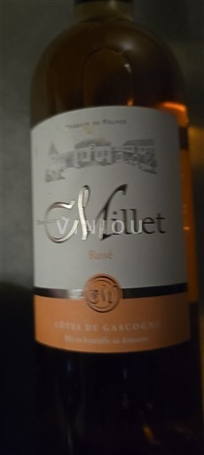 Südwestfrankreich Côtes de Gascogne Millet Ohne Jahrgang