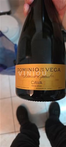 Catalonia Cava Dominio de la Vega Reserva Especial 2021
