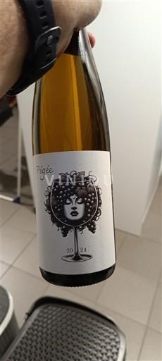 Alsácia Pigée 2024