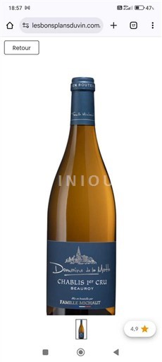 Bourgogne Chablis Premier Cru Domaine La Motte Beauroy 2023