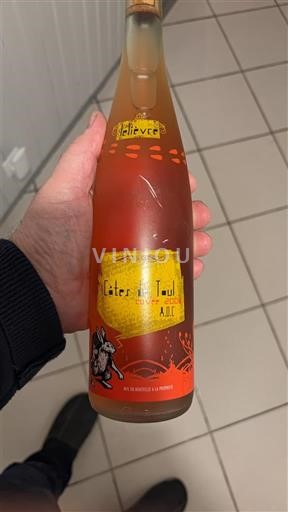 Lotharingen Côtes de Toul Lelièvre des lumières 2006