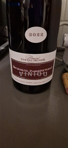 Bourgogne Bourgogne-passetoutgrain Domaine Vincent Prunier 2022