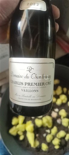 Bourgogne Chablis Premier Cru Domaine Chardonnay Vaillons 2022