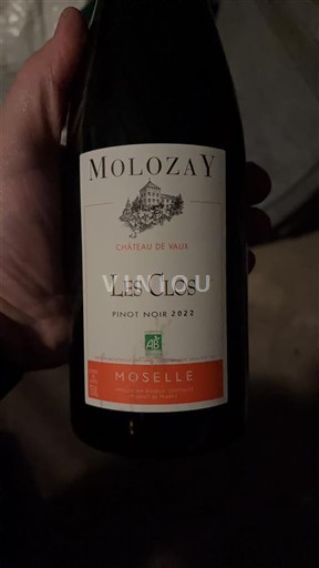 Lorraine Moselle Château Vaux Les Clos 2022