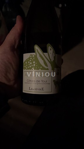 Lotharingen Côtes de Toul Lelièvre Auxerrois 2024