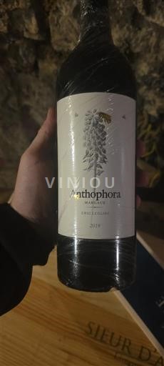 Bordéus Saint-Émilion Anthophora 2019