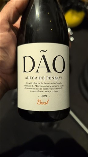 Portugal Dão. Adega de Penalva Bical 2021