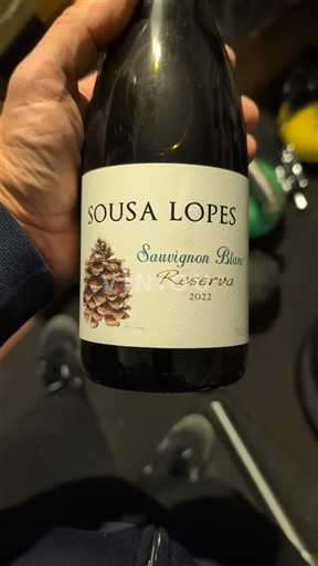 Minho Sousa Lopes Sauvignon Blanc Reserva 2022