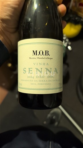 Portugal Dão. M.O.B. (Moreira, Olazabal & Borges) Vinha Senna 2021