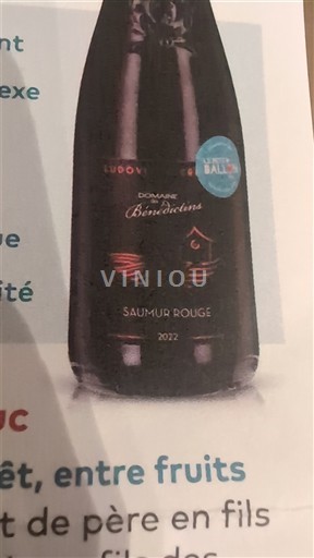 Valle della Loira Saumur Domaine S Bénédictins 2022