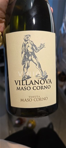 Trentino-Alto Ádige Vigneti delle Dolomiti Tenuta Maso Corno Villanova Maso Corno 2021