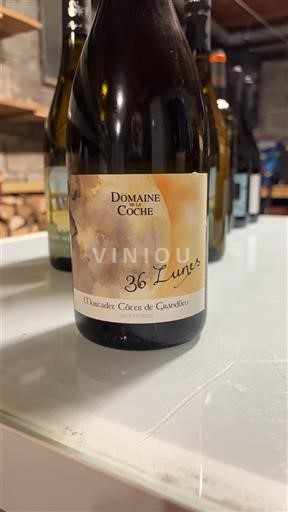Thung lũng sông Loire Muscadet-côtes-de-grand-lieu Domaine La Coche 36 Lunes 2019